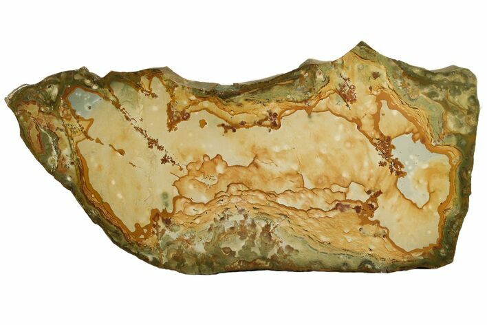 Polished Rocky Butte Picture Jasper Slab - Oregon #198953